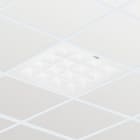 PHILIPS LIGHTING - 96607200 RC463B LED40S/930 PSD W62L62 VPC PIP Einlegeleuchte.