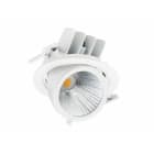PHILIPS LIGHTING - RS782B 39S/827 PSU-E NB WH.