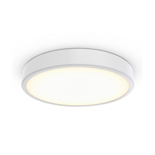 PHILIPS LIGHTING - TCBRLS 46S/940 DIA OC WH401T102