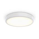 PHILIPS LIGHTING - TCBRLS 46S/940 DIA OC WH401T102