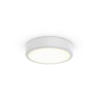PHILIPS LIGHTING - TCBRMS 19S/940 DIA OC WH401T102