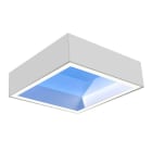 PHILIPS LIGHTING - LP913Z NC3 PLASTER CEILING SET W62L62.