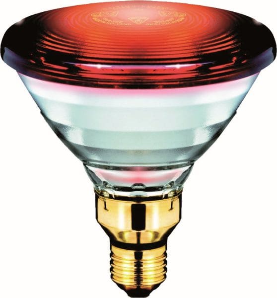 PHILIPS LIGHTING - PAR38 IR 150W E27 230V Red 1CT/12