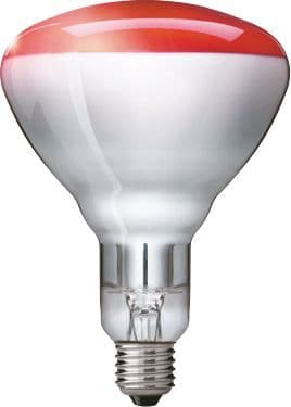 PHILIPS LIGHTING - BR125 IR 250W E27 230-250V Red 1CT/10