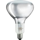 PHILIPS LIGHTING - BR125 IR 250W E27 230-250V CL 1CT/10