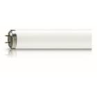 PHILIPS LIGHTING - Actinic BL TL 40W/10 SLV/25