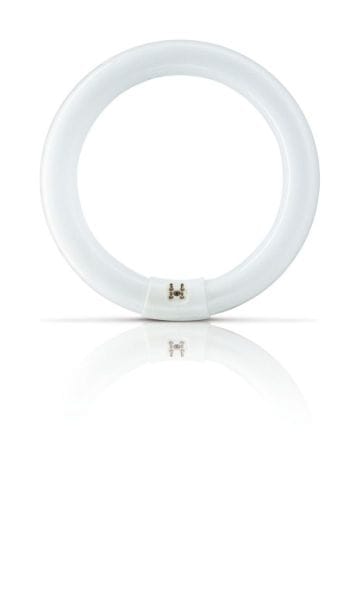 PHILIPS LIGHTING - Actinic BL TL-E 22W/10 1CT/20