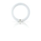 PHILIPS LIGHTING - Actinic BL TL-E 22W/10 1CT/20