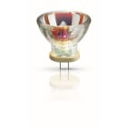 PHILIPS LIGHTING - 6834FO 100W GZ6.35 12V 1CT/10X5F