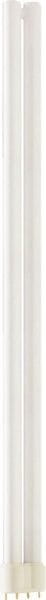 PHILIPS LIGHTING - MASTER PL-L 55W 830 4P