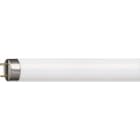 PHILIPS LIGHTING - MASTER TL-D Super 80 1m 36W/840 SLV/25
