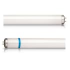 PHILIPS LIGHTING - Actinic BL TL-D 18W/10 Secura 1SL/25