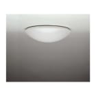 ELECTROPLAST - PMMA opal matt, IP44 SKI D390 H110 2xE27