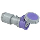 PC ELECTRIC - CEE-Kupplung 16A 2p 24VAC 50/60Hz IP67 TWIST
