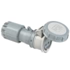 PC ELECTRIC - CEE-Kupplung 16A 2p 24/42VDC IP67 TWIST