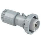 PC ELECTRIC - CEE-Stecker 16A 3p 24/42VDC IP67 TWIST