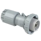PC ELECTRIC - CEE-Stecker 32A 3p 24/42VDC IP67 TWIST