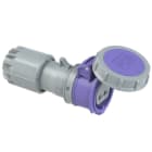 PC ELECTRIC - CEE-Kupplung 32A 2p 24VAC 50/60Hz IP67 TWIST