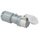 PC ELECTRIC - CEE-Kupplung 16A 2p 24/42VDC IP44 TWIST