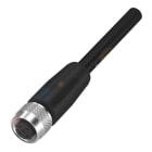 BALLUFF - M12 Buchse ger 5pol 10m PUR gesch.