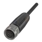BALLUFF - M12 Buchse ger 12pol 5m PUR