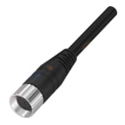 BALLUFF - M12 Buchse ger 19pol 2m PUR