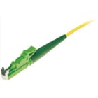 CABLEDOC - fiber pigtail rainbow set 0.9mm OS2 G652 LSZH simplex E2000/APC 8º 12 fibers, 2m