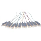 CABLEDOC - LWL SC-Pigtail Simplex OM2 12-färbig VPE 12 Stk