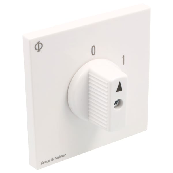 KRAUS&NAIMER - Ausschalter 25A,1pol.,'0-1',60Grad,Unterputzeinsatz