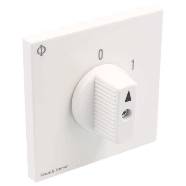 KRAUS&NAIMER - Ausschalter 20A,3pol.,'0-1',60Grad,Unterputzeinsatz