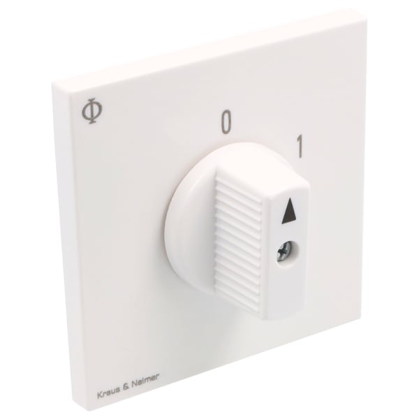KRAUS&NAIMER - Ausschalter 25A,3pol.,'0-1',60Grad,Unterputzeinsatz