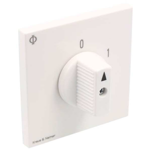 KRAUS&NAIMER - Ausschalter 25A,2pol.,'0-1',60Grad,Unterputzeinsatz