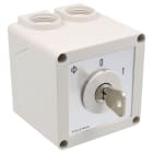 KRAUS&NAIMER - Ausschalter,2polig,60Grad,AP-Gehaeuse IP40