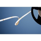 BARTHELME - LED STRIP BASIC CSP 320 Rolle 500 cm 24 V DC typ. 50 W 3000 K