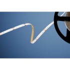 BARTHELME - LED STRIP BASIC CSP 480 Rolle 500 cm 24 V DC typ. 72 W 4000 K