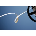 BARTHELME - LED STRIP BASIC CSP 540 RGB Rolle 500 cm 24 V DC typ. 75 W