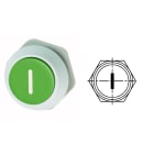 BENEDIKT&JAEGER - Gehaeusetaste grün I Eintaste L=22mm