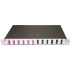 DÄTWYLER - LWL Spleissbox 1HE 6xSC-Duplex für 12Fasern OM4 RAL7035
