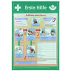 DEHN - WuH-Schild Erste Hilfe - Aushang nach BGI/GUV-I 510 Ersatz für Art.Nr. 700021