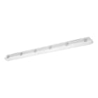 EGLO - LED WANNENLEUCHTE 40W IP65 4POLIG LT 50.000h KUNSSTOFF GRAU 'PRIME 150'