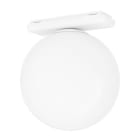 EGLO - LED-LV-TRACK GLAS WEISS/OPAL SPEHRE