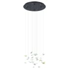 EGLO - LED-HL/6 SCHWARZ KLAR 'ADRADOS' DIMMBAR