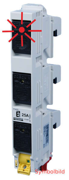 ELSTA - SLTS D02/3POL/50A ELSTA CORON R