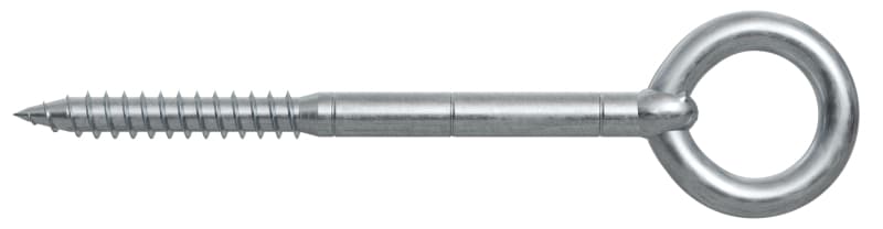 FISCHER AUSTRIA - Gerüstöse GS 12x160