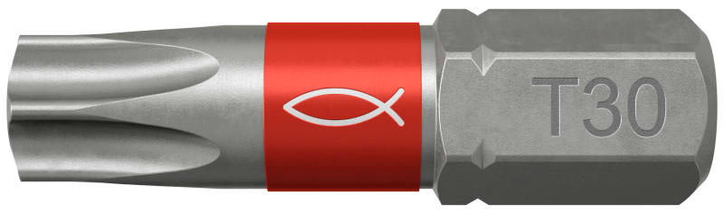 FISCHER AUSTRIA - Fischer ProfiBit FPB Torx TX 30 (10er Pack)