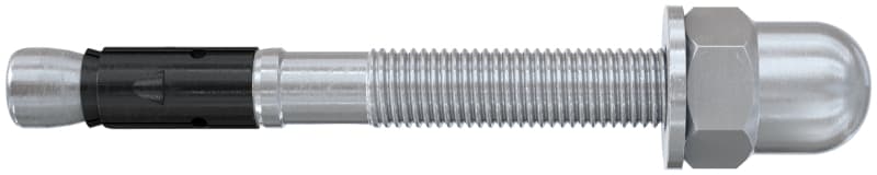 FISCHER AUSTRIA - Bolzenanker FAZ II PLUS 10/10 H
