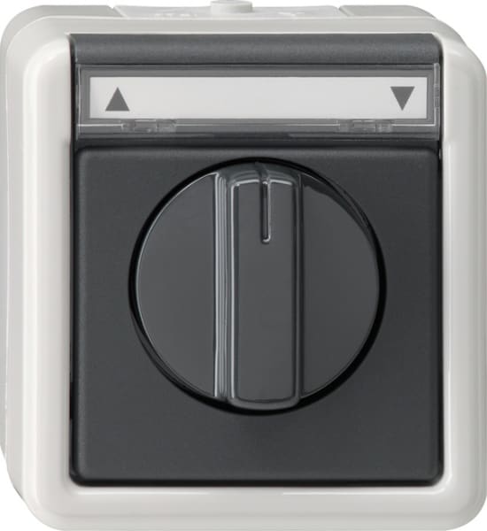 GIRA - Jalousie 1-p BSF WG AP Grau