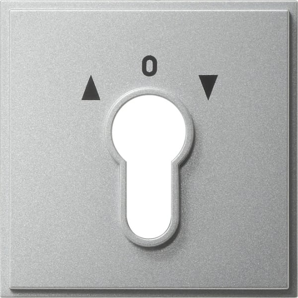 GIRA - Abd. Schlüsselschalter/-taster Gira TX_44 (WG UP) F Alu