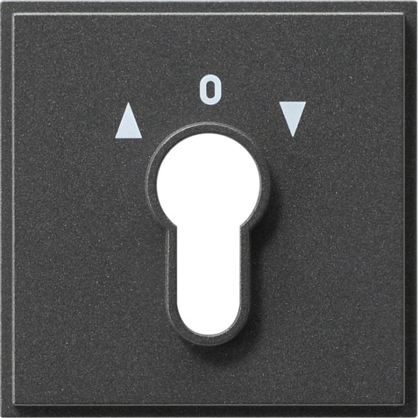 GIRA - Abd. Schlüsselschalter/-taster Gira TX_44 (WG UP) Anthrazit