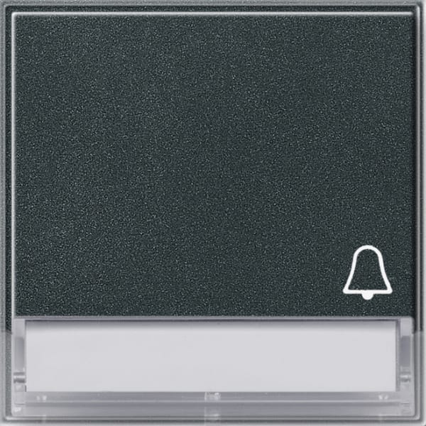 GIRA - Wippe Symb. Klingel + BSF Gira TX_44 (WG UP) Anthrazit